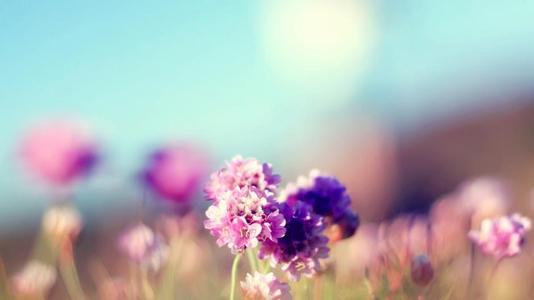 u=3732782569,1990861696&fm=26&gp=0.jpg